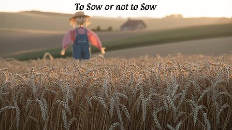 The Rant-To Sow or not to Sow?