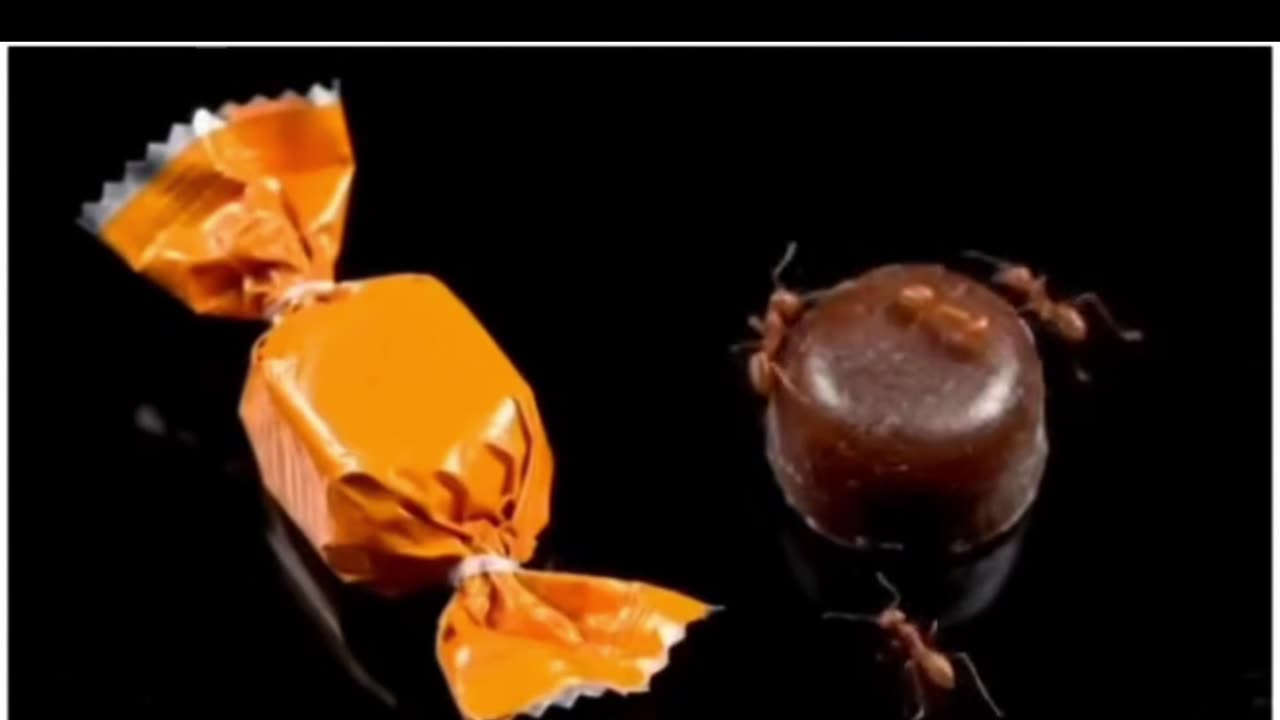 Privacy is power; what people don't know, they can't destroy.