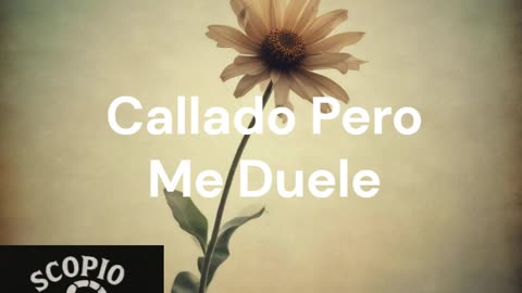 Callado Pero Me Duele
