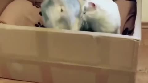 Motherhood