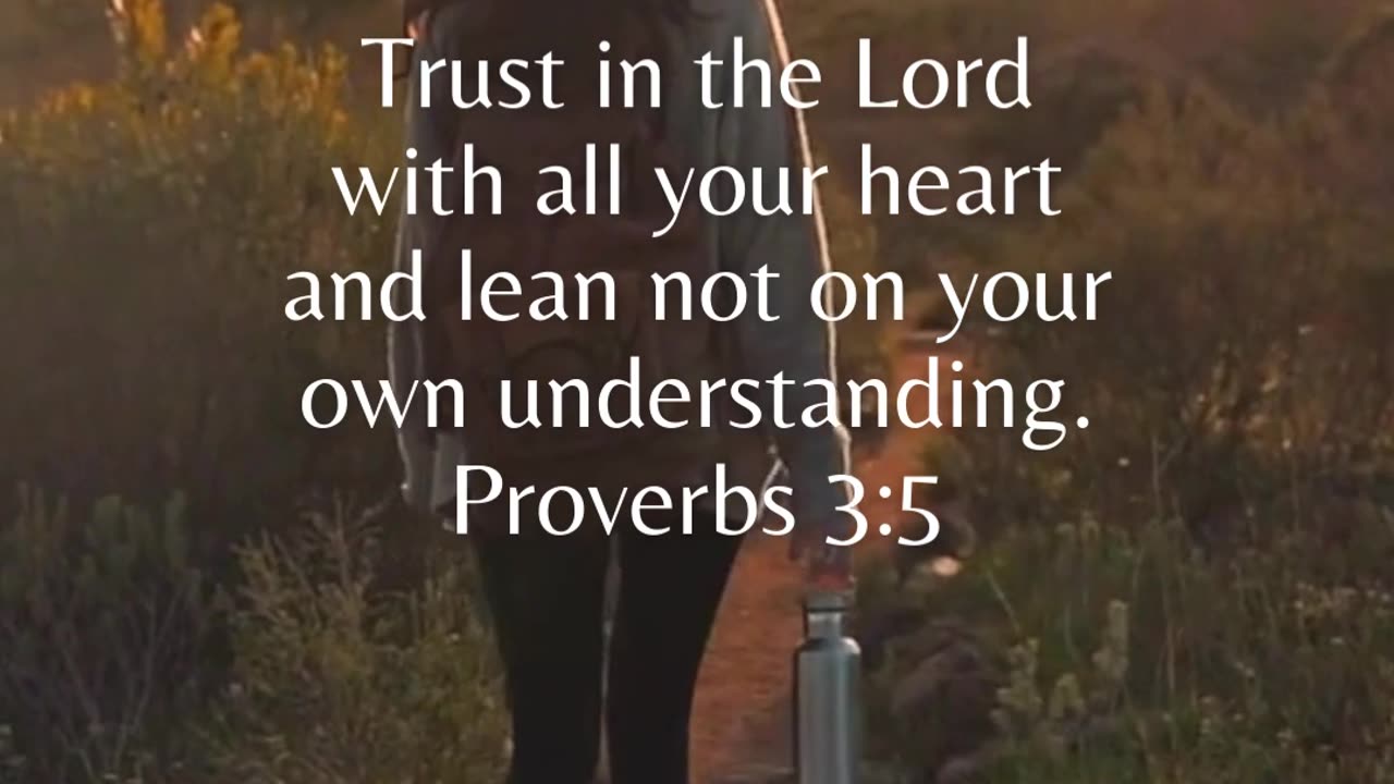 When we follow God’s lead, we walk in light and peace.