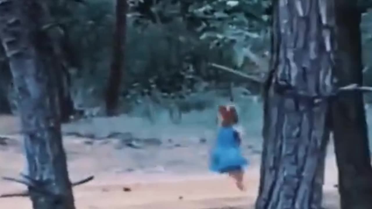 🐕💀 Is It Just a Dog... or Something Darker? | TheHauntingHour