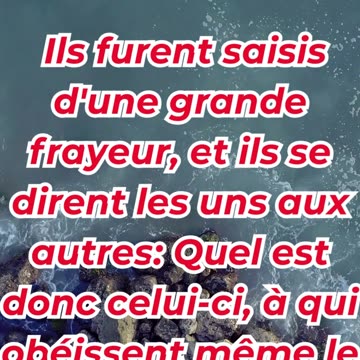 « Qui est donc cet homme ? Même le vent et la mer lui obéissent ! » marc 4:41 #shortvideo #ytshorts