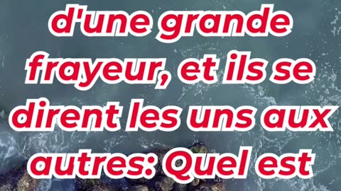 « Qui est donc cet homme ? Même le vent et la mer lui obéissent ! » marc 4:41 #shortvideo #ytshorts