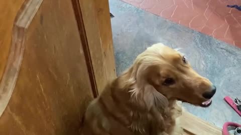 😂👀 Knock Knock | FunFM