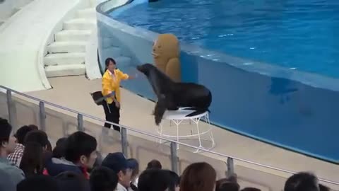 Yokohama Sea Paradise