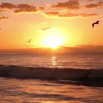 Golden Waves 🌅🌊 | Sounds of Nature