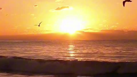 Golden Waves 🌅🌊 | Sounds of Nature