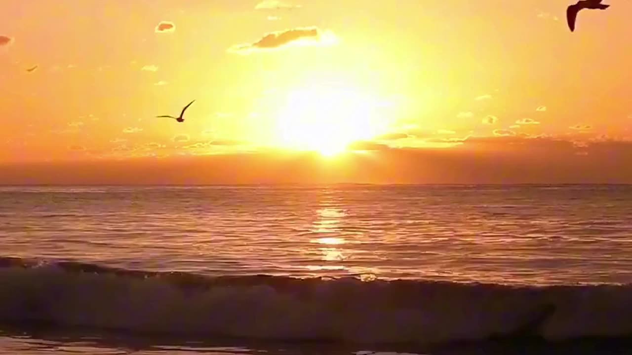 Golden Waves 🌅🌊 | Sounds of Nature