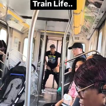 Diverse Defecation On Public Transit Which Be Seeznin