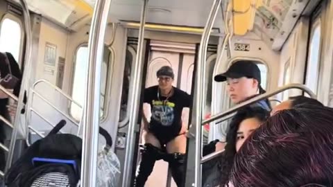 Diverse Defecation On Public Transit Which Be Seeznin
