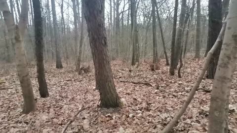 lubię się dobrze czuć ...