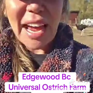 Animal Cruelty By The Canadian Government! 🤬