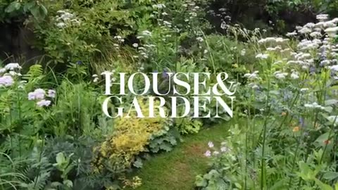 house 🏡 and garden 🪴.inside a soulful