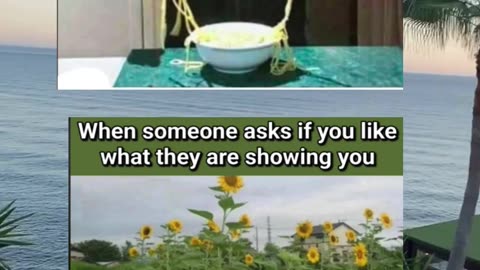 Memes of the day | funny memes | #funny