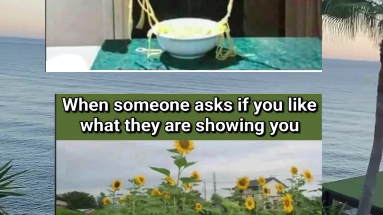 Memes of the day | funny memes | #funny