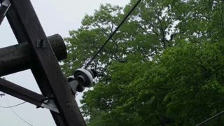 The Grid Is Failing. Here Is Your Answer.