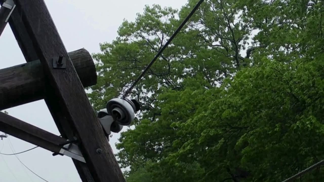 The Grid Is Failing. Here Is Your Answer.