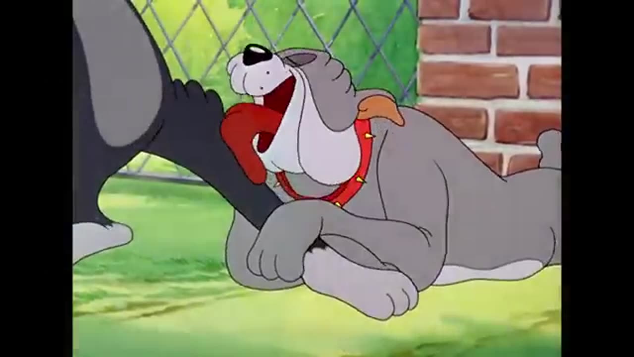 Funny Tom & Jerry