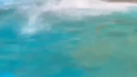 😂💦 You Won't Believe The Epic Water Slide Fail! | FunFM