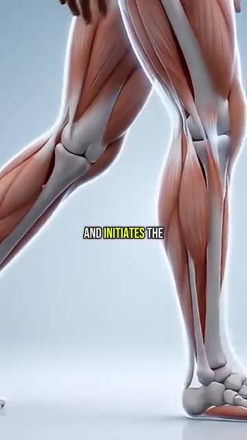 Beta Blockers causing more harm than good