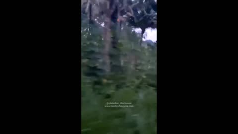 #top mystery tree #jinn