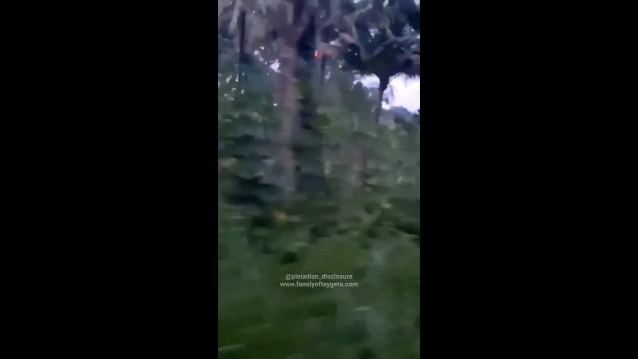 #top mystery tree #jinn