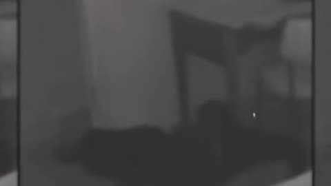 😨👻 What is That Thing? Terrifying Encounter Caught on Camera! | TheHauntingHour