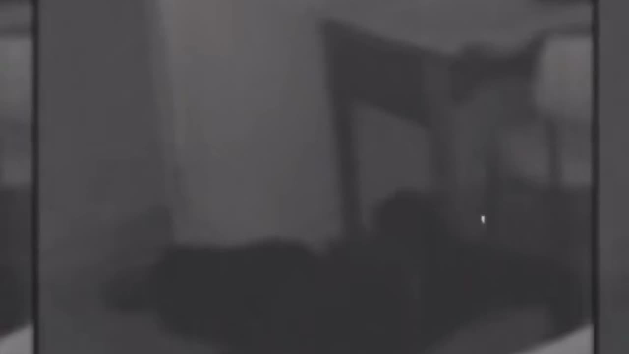 😨👻 What is That Thing? Terrifying Encounter Caught on Camera! | TheHauntingHour