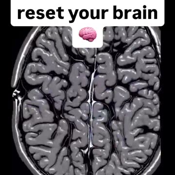 Reset your brain