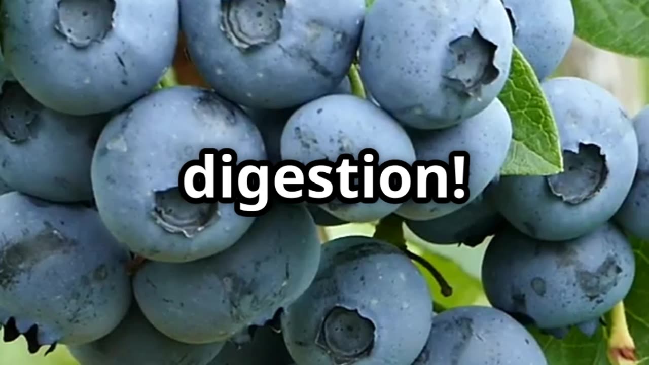 10 frruit ffor healths