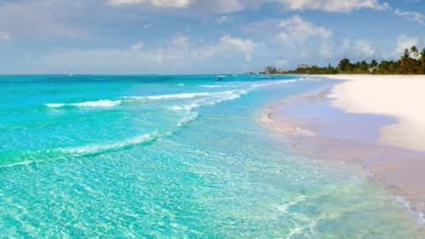 🚨Breaking News: The TOP 5 States Americans Are Moving To Right Now