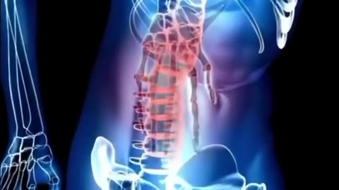 Honey, turmeric, ginger & black pepper for natural anti-inflammation. Daily healing boost!