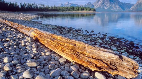 Rule of Thirds and the Horizon