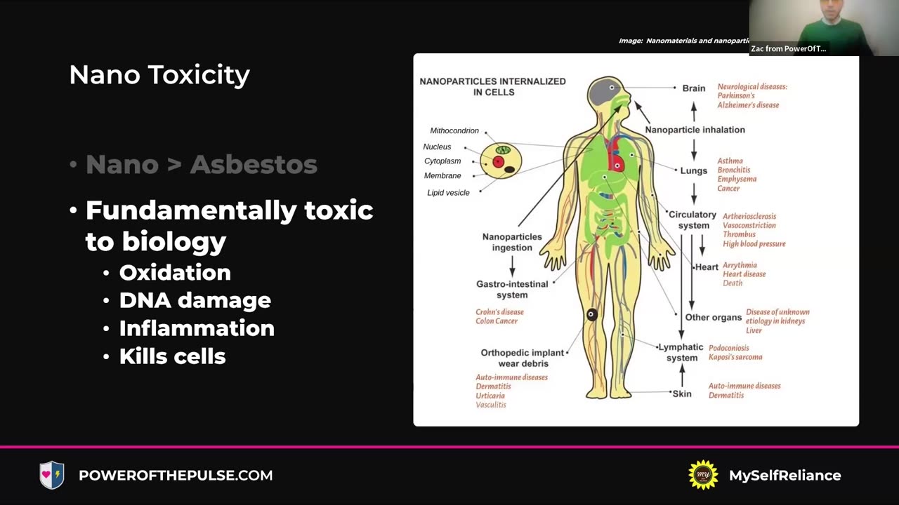 Nanotechnology: The Invisible Danger. MSR August 2025