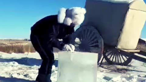 Mongolian Herders Protect Their Food from Wild Animals in Winter 😲😆