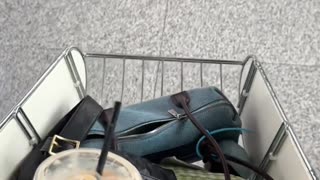 My Daily Life Vlog Short Clip Series Part 379