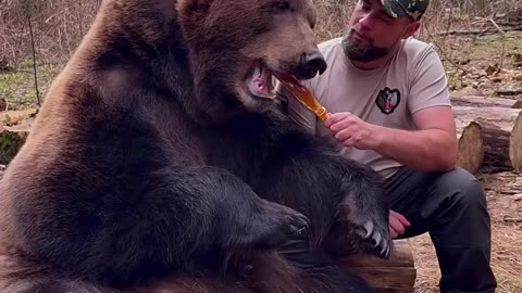 Russian Man Hugs a Bear — Unreal Moment Caught on Camera