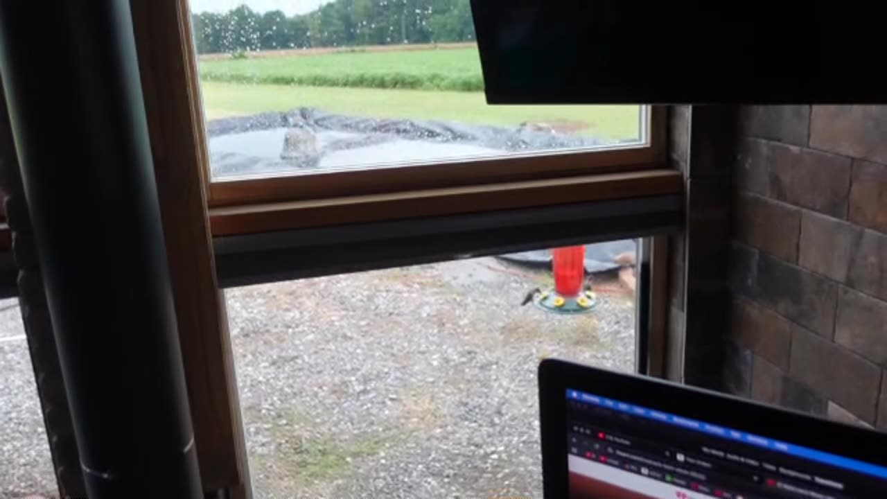 Francis Is Back In Action! The Pond Is Coming Back Around. New Downspouts Got A Rain Test.