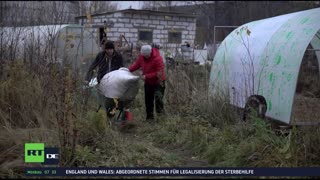RT DE Live-TV