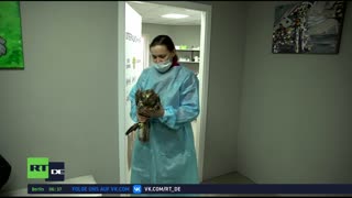 RT DE Live-TV