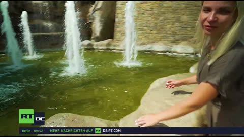 RT DE Live-TV