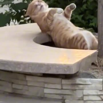 🤣 Stupid Hakimi Moments | Funniest Fails & Reactions Ever! ⚽