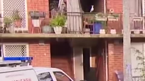 Bateau Bay Murder Investigation - 9 News Australia
