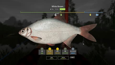 White Bream | Stage 5 Task 2 | Winding Rivulet | RF4