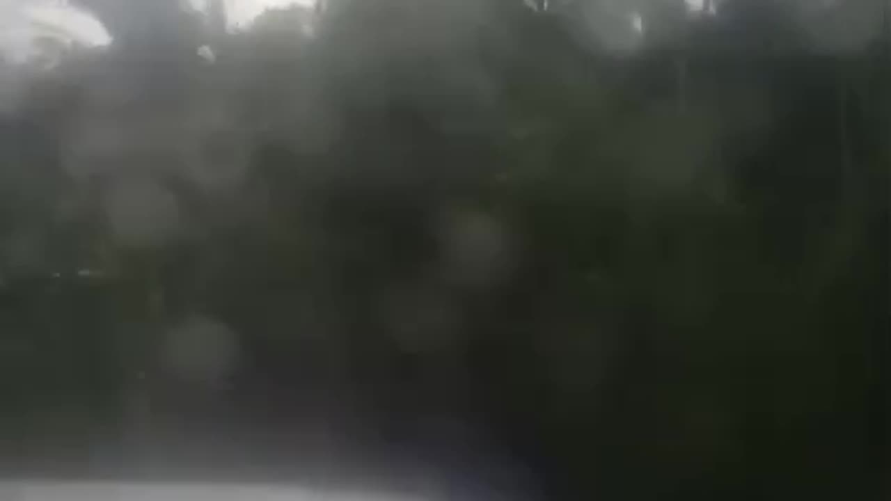 take a walk to my hometown