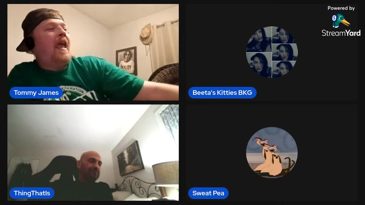 11/21/25 Beetas Kitties VOD: "Oooops. Friday we are in love ❤️"