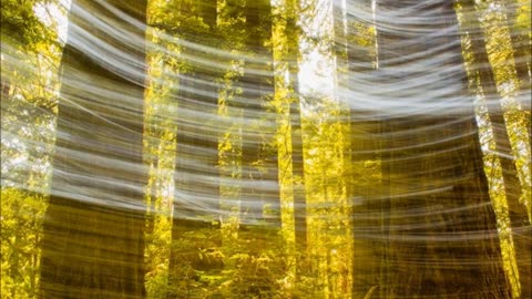 The Fall of Satan (Audio Only Podcast)