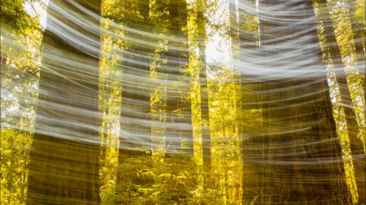 The Fall of Satan (Audio Only Podcast)