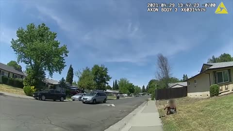 Black Male Goes for Female Officers Gun in Sacramento